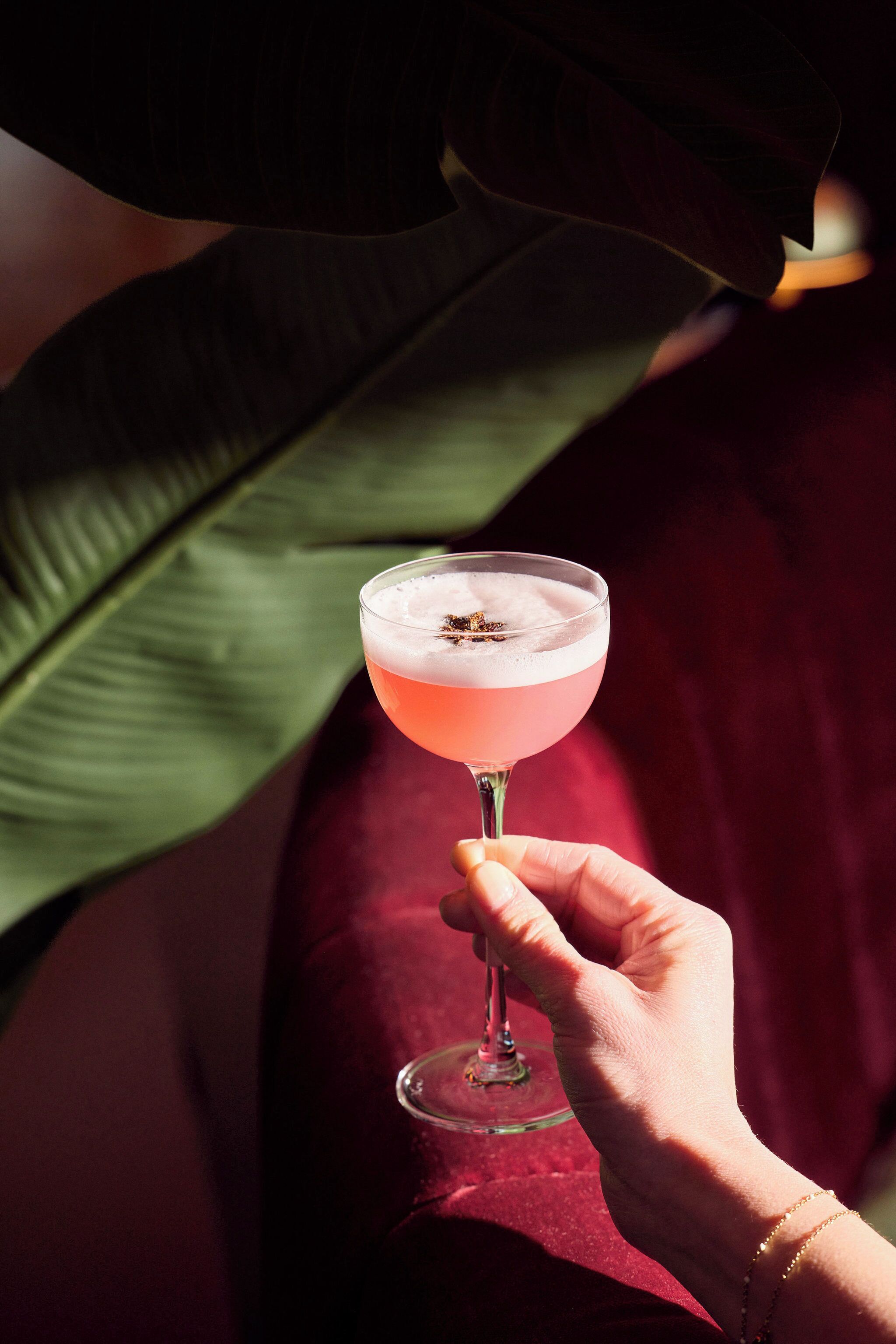 Une main tenant un verre à cocktail surmonté d’une mousse, le tout mis en valeur sur un fond composé d’une grande feuille verte et d’un tissu rouge.