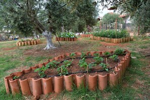 Cottage | Enceinte de l’hébergement