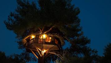 A treehouse with a wooden deck and multiple windows, surrounded by tall trees.
