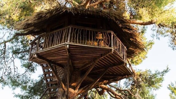 Una casa del árbol con escalera de madera y una plataforma con asientos y una mesa.