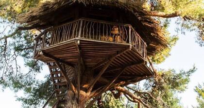 Stunning Treehouse 10 Mins From Sandy Beaches