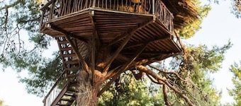 Stunning Treehouse 10 Mins From Sandy Beaches