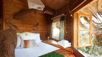 A wooden cabin room with a bed, a window with a view of trees, and a mosquito net hanging from the ceiling.