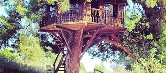 Stunning Treehouse 10 Mins From Sandy Beaches