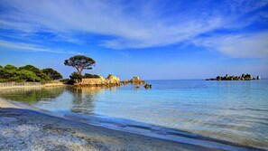 Ein Strand mit klarem Wasser, einem großen Baum und Felsformationen.