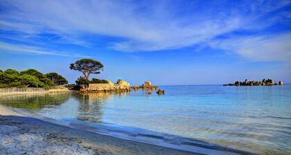 MINI VILLA SEA VIEW PALOMBAGGIA PORTO VECCHIO