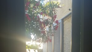 On aperçoit, à travers une porte vitrée, un patio avec une chaise pliante noire, une petite table et un pot de fleurs contenant des fleurs roses.