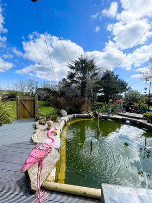 Terrein van de accommodatie