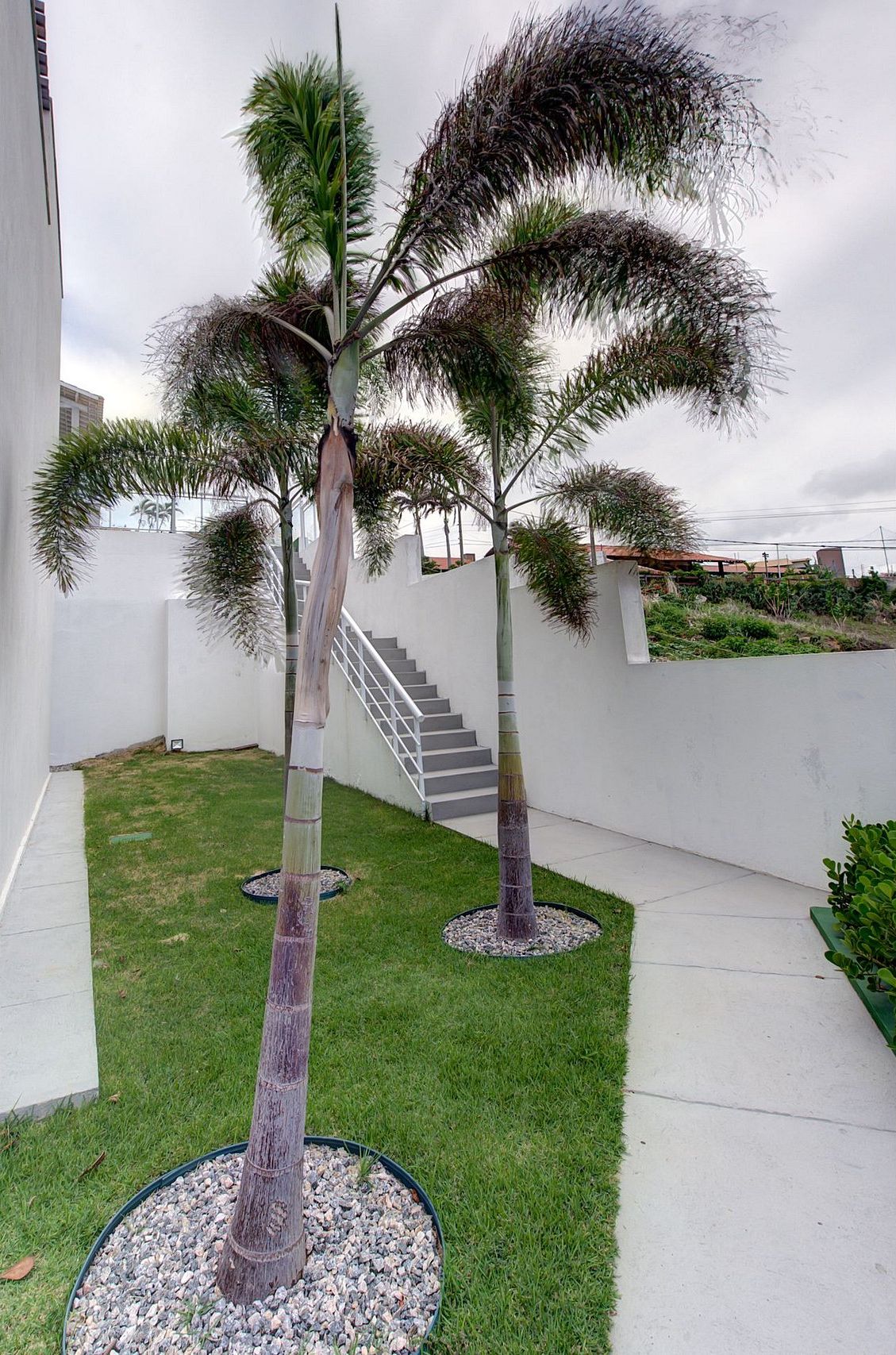A modern building with a staircase and a well-maintained lawn.