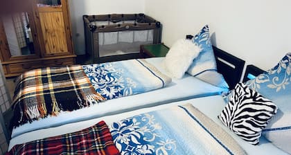 Discover the lovely region of the Wine Route