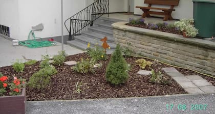 Discover the lovely region of the Wine Route