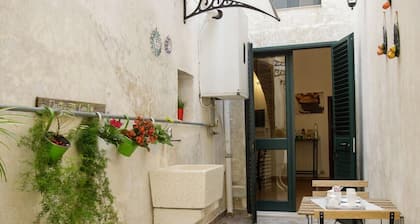 Lovely one-bedroom apartment in the historic center