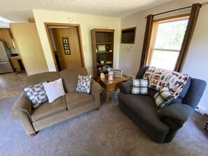 Smart TV, chimenea, reproductor de DVD y libros 