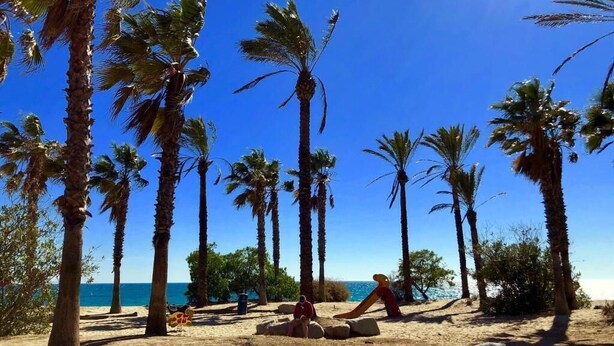 Een zandstrand met palmbomen en een helderblauwe lucht.