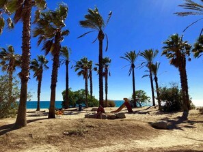 A sandy beach with palm trees and a clear blue sky.