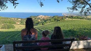 Uitzicht vanuit accommodatie