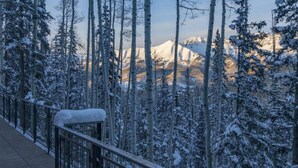 House, 5 Bedrooms | Balcony - Fire and Ice by Exceptional Stays (Telluride)