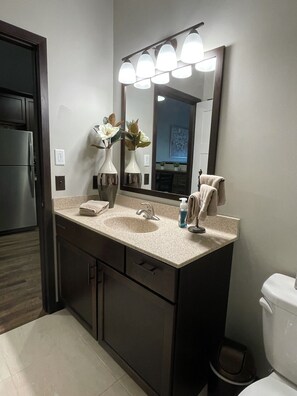 Shower, hair dryer, towels, soap - NEW, NEW, NEW! Wabasha Downtown Studio 113 Pembroke Ave. #103 (Wabasha)