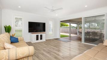 TV, Netflix, DVD player, streaming services