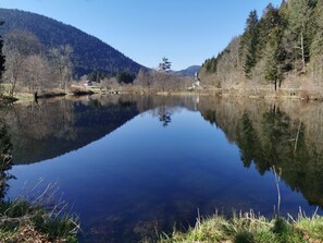 Miscellaneous - Spacious apartment in the Vosges near Gérardmer and Alsace (Anould)