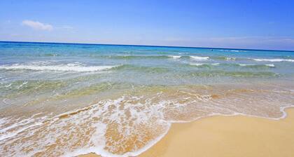 Sea view villa with garden and private hot tub 244