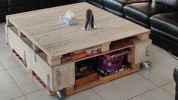 Televisión, videojuegos, reproductor de DVD y tenis de mesa