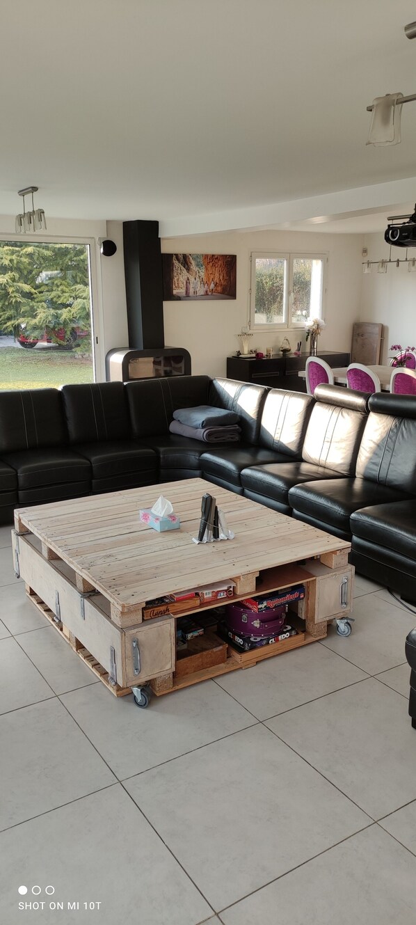 TV, video games, DVD player, ping pong