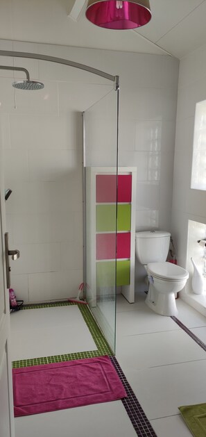 Bathtub, hair dryer, towels