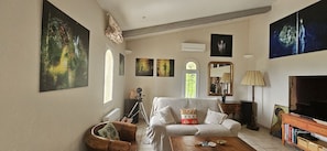 Smart TV, reproductor de DVD, tenis de mesa y libros 