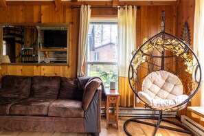 Smart TV, fireplace, books, stereo