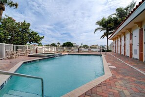 Relax by the pool surrounded by palm trees and lounge chairs.
