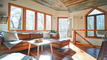 Télévision, cheminée, lecteur de DVD, chaîne hi-fi