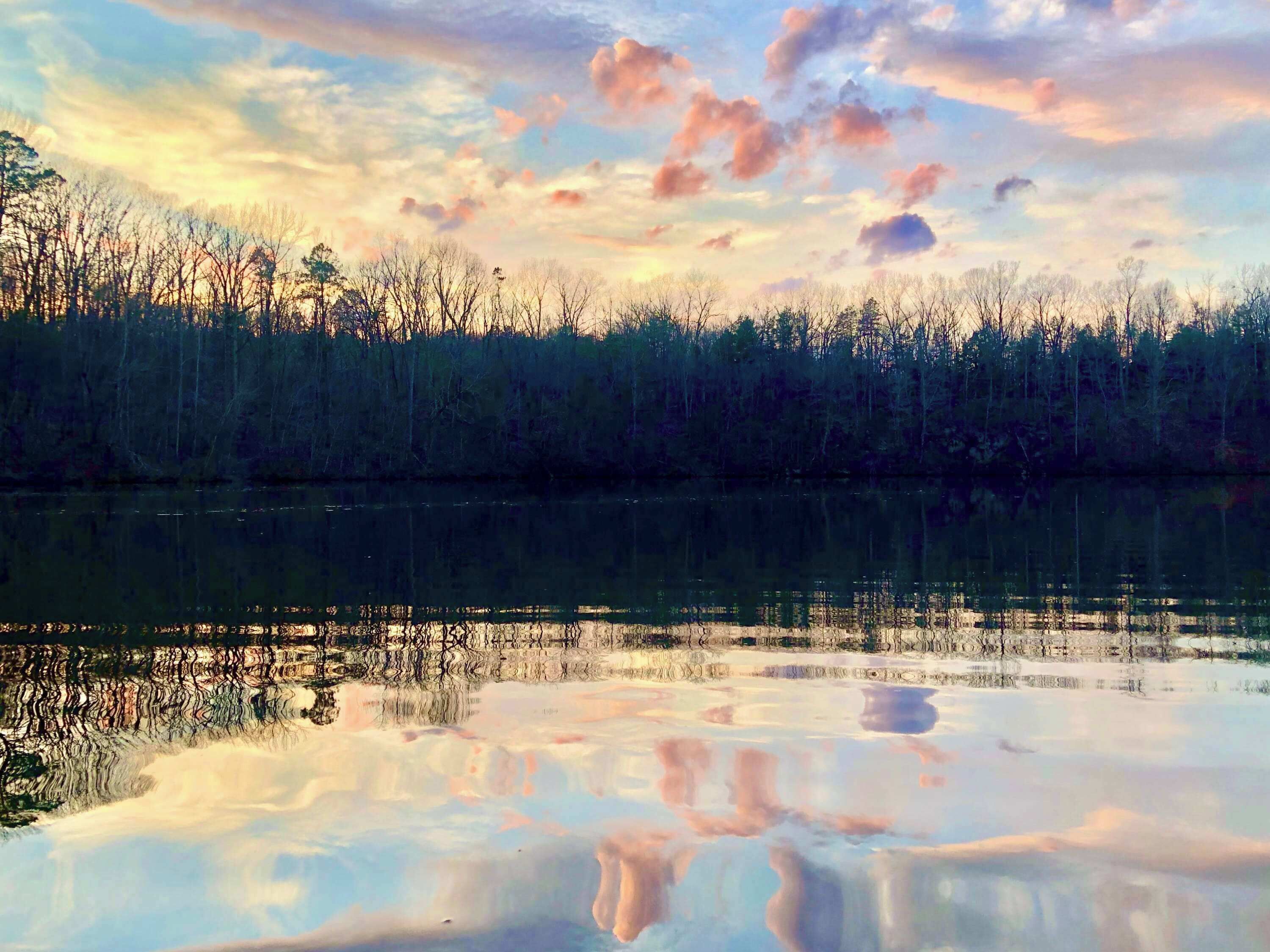 A calm lake with reflections of trees and a sky with clouds.