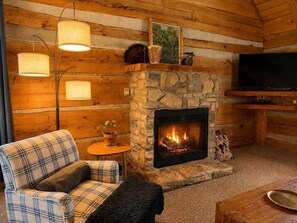 TV, fireplace, stereo, offices - Scenic Log Cabin in Meadows of Dan (Meadows of Dan)