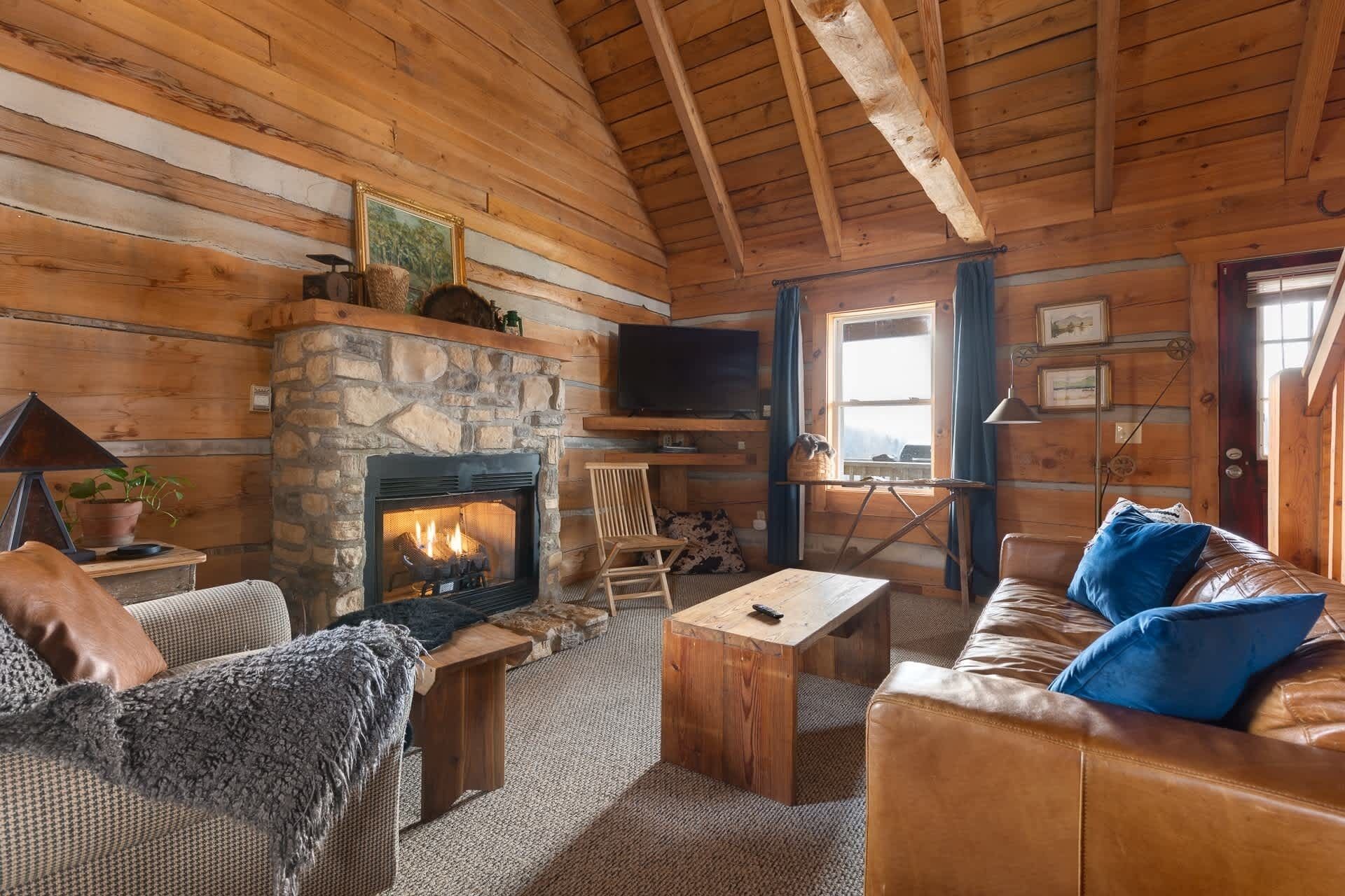 TV, fireplace, stereo, offices