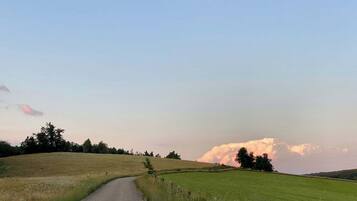 A rural road curving through a green field with a large cloud in the sky.