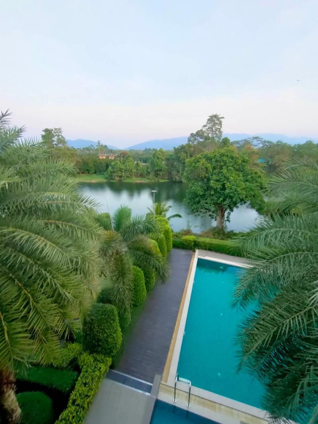 Hồ bơi