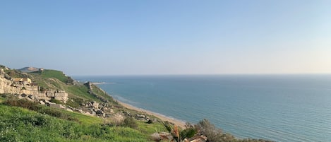 Playa en los alrededores y camastros 