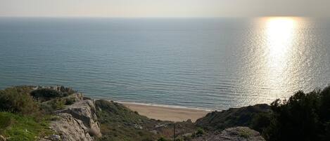 بالقرب من الشاطئ، كراسي للتشمس