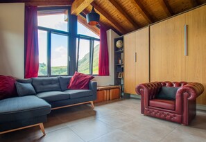 Smart TV, fireplace, DVD player, books