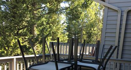 Great Location! Pool, spa and only minutes to Meadow Village