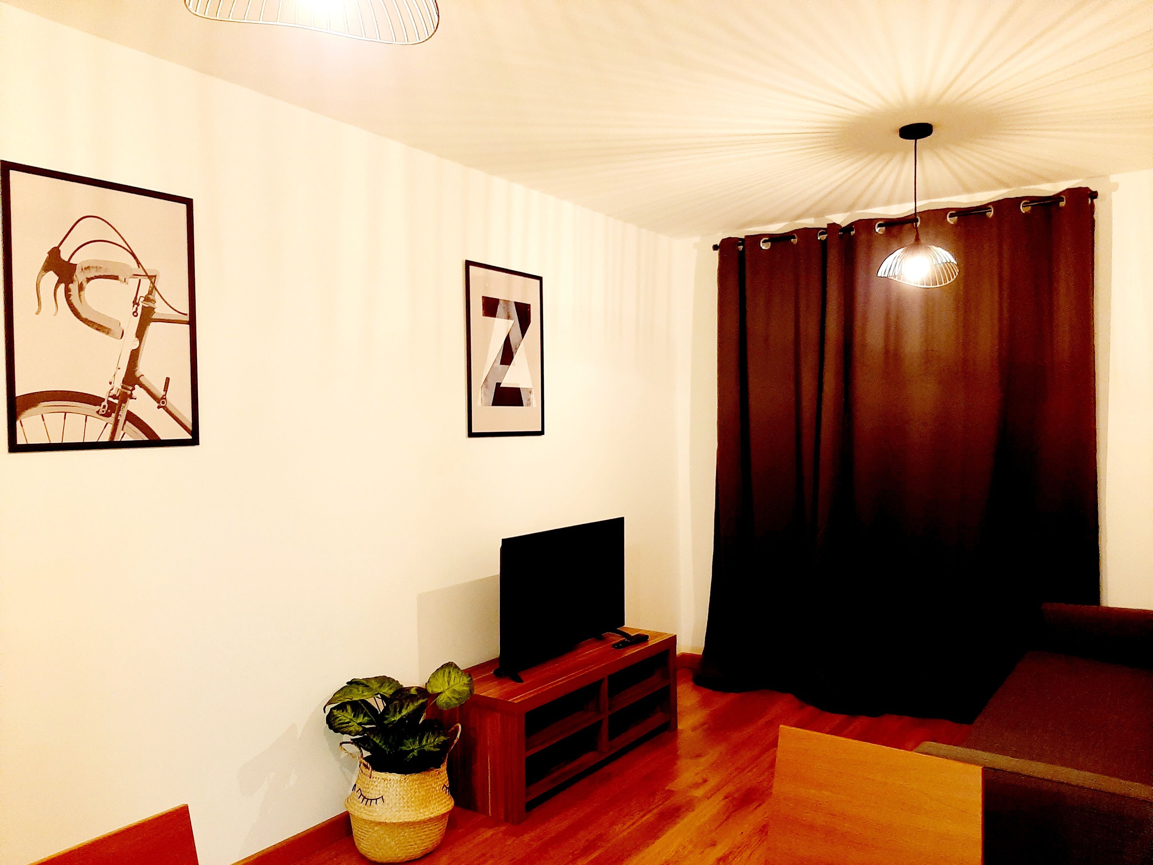 Un salón con un televisor sobre un mueble de madera, una planta en maceta y una letra Z enmarcada en la pared.
