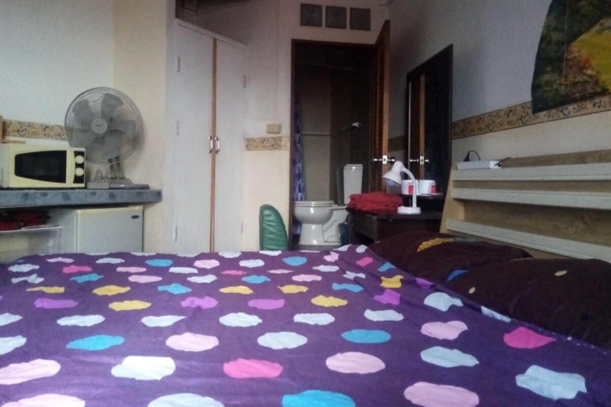 A bedroom with a bed, a fan, a toilet, and a sink.