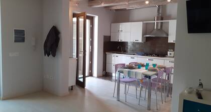 Pergola with bougainvillea