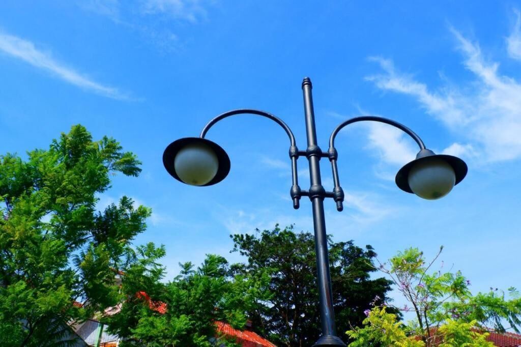 A street lamp with two lights, set against a clear blue sky and surrounded by trees.