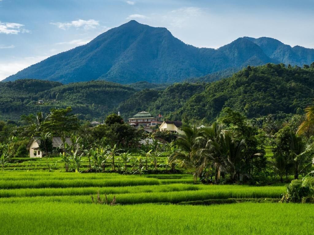 A lush green landscape with terraced fields, a traditional building with a tiled roof, and a mountain in the background.