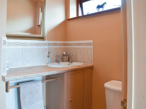 A bathroom with a sink, mirror, and toilet.