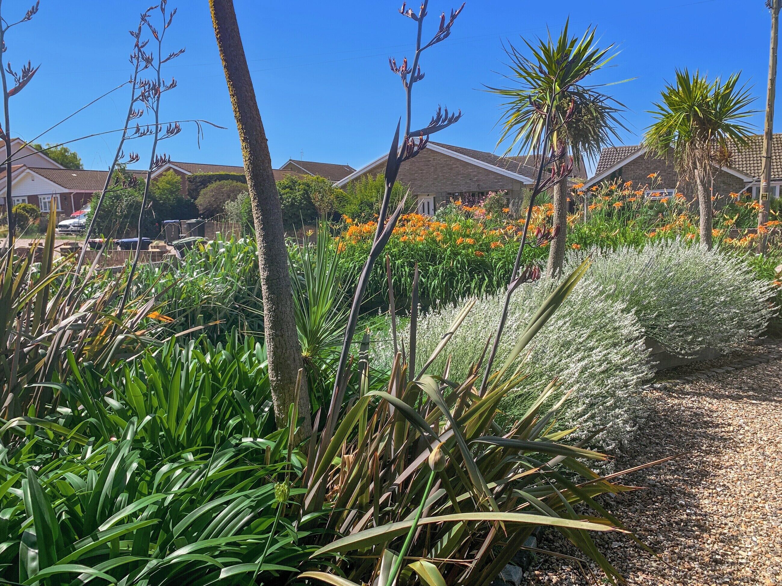 Overnattingsstedets uteområder