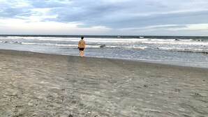 ビーチ