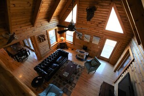 TV, DVD player, video library, stereo